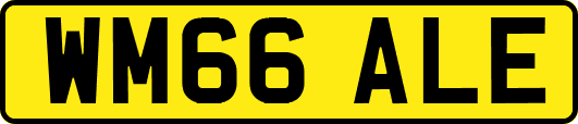 WM66ALE
