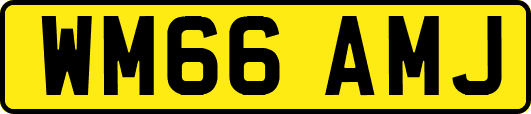WM66AMJ