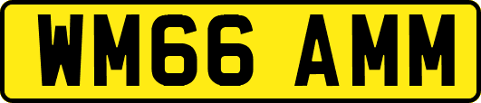 WM66AMM