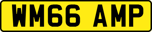 WM66AMP