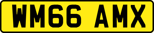 WM66AMX