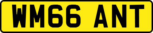 WM66ANT