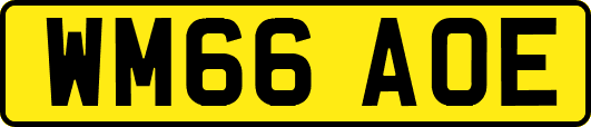 WM66AOE