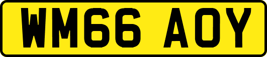 WM66AOY