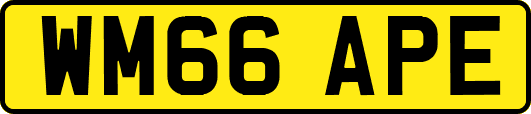 WM66APE