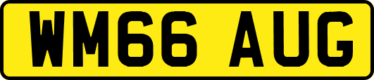 WM66AUG