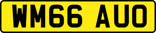 WM66AUO