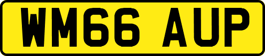 WM66AUP