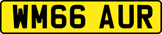 WM66AUR