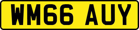 WM66AUY