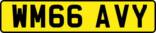 WM66AVY