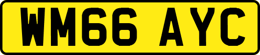 WM66AYC