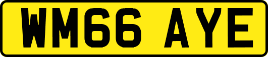 WM66AYE