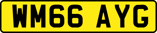 WM66AYG
