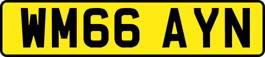 WM66AYN