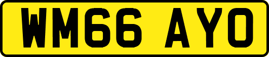 WM66AYO