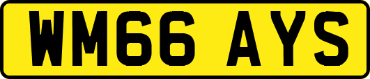 WM66AYS