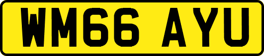 WM66AYU