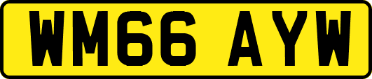 WM66AYW