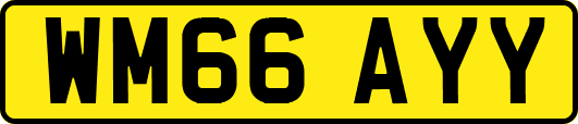 WM66AYY