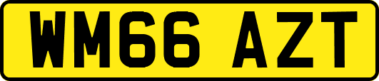 WM66AZT