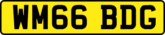 WM66BDG