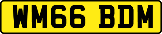 WM66BDM