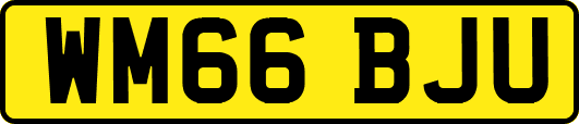 WM66BJU