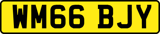 WM66BJY