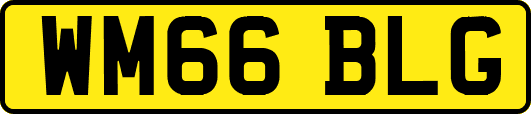 WM66BLG