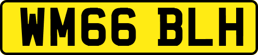 WM66BLH