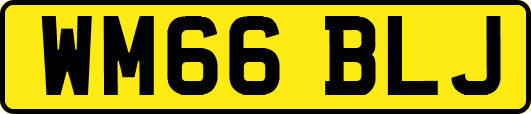 WM66BLJ
