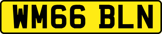 WM66BLN