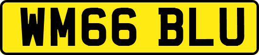 WM66BLU