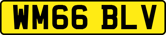 WM66BLV