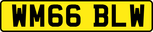 WM66BLW