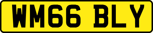 WM66BLY