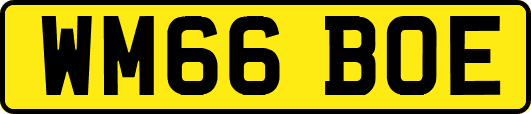WM66BOE