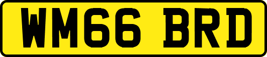 WM66BRD
