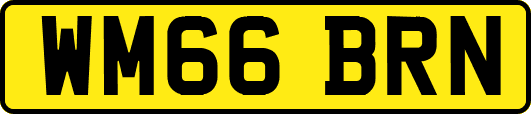 WM66BRN