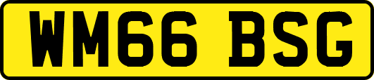 WM66BSG