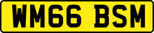 WM66BSM