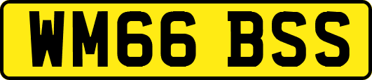 WM66BSS