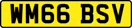 WM66BSV