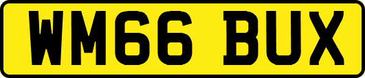 WM66BUX