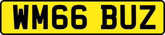WM66BUZ
