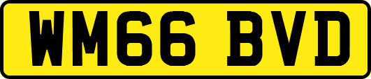 WM66BVD