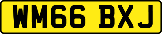 WM66BXJ
