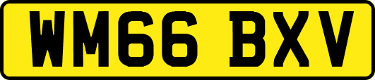 WM66BXV