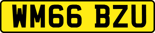 WM66BZU